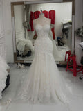 Dress of Aproorva