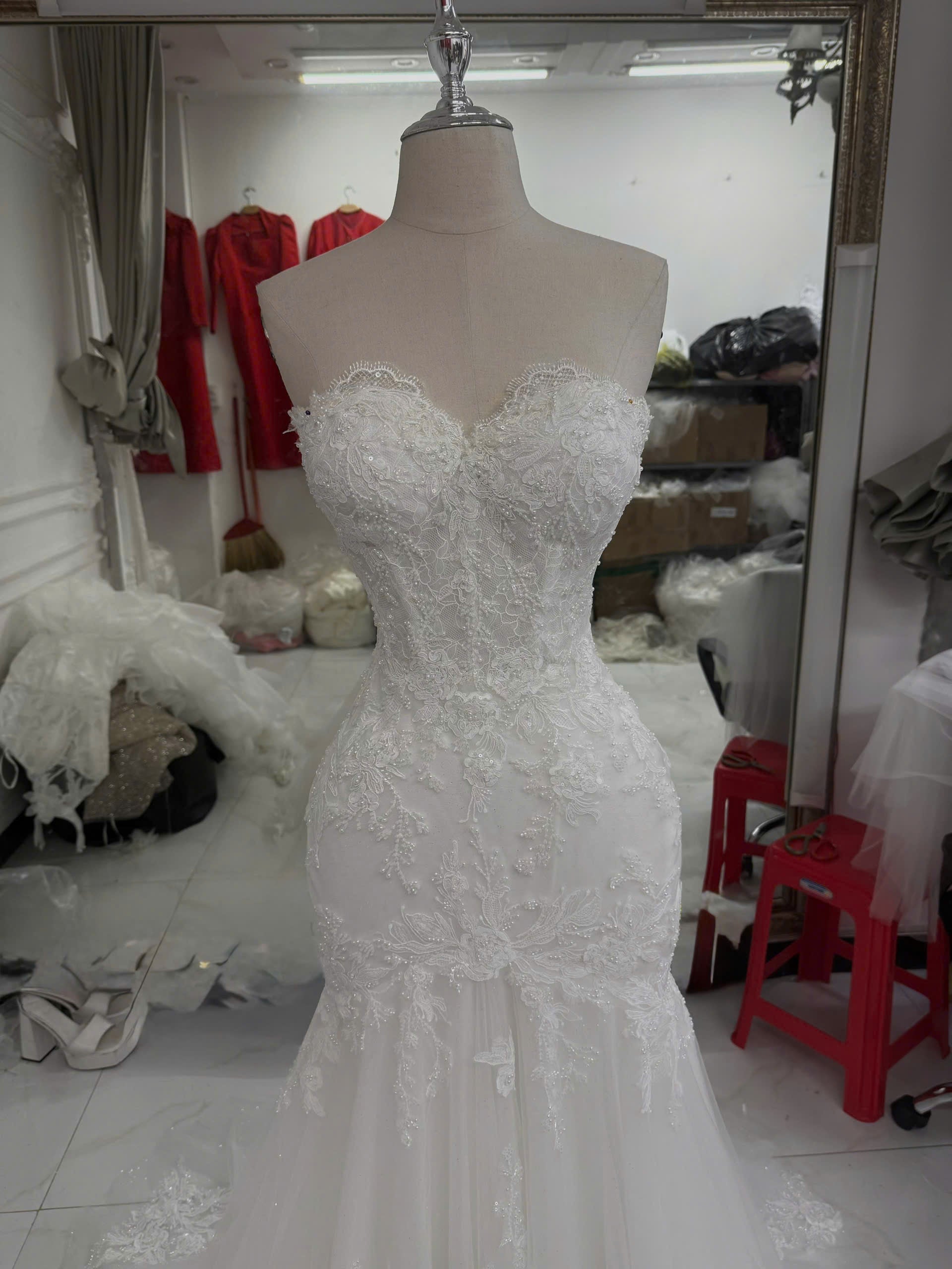 Dress of Aproorva