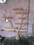 Custom for Sara