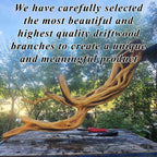 Tree branch book shelves wall mount art solid wood floor bookcase decor