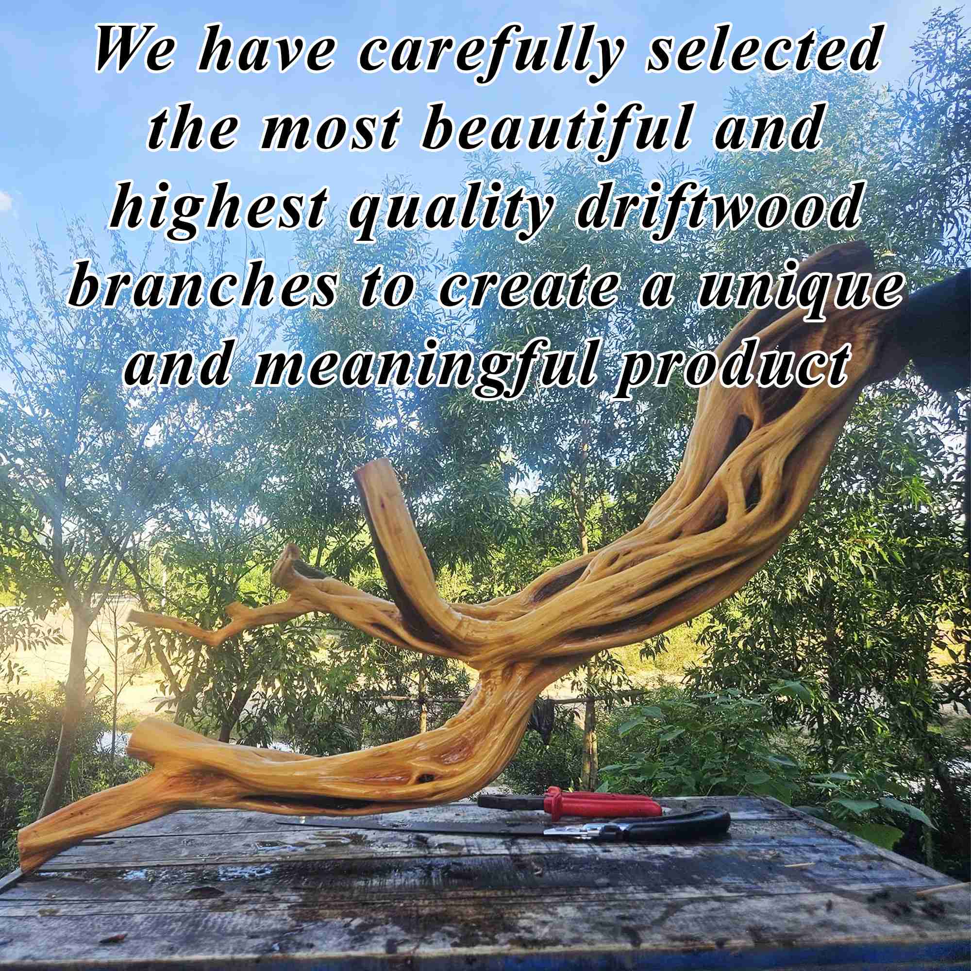 Tree branch book shelves wall mount art solid wood floor bookcase decor