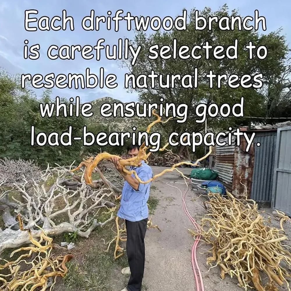 Floating corner shelf tree driftwood branch bookshelf wall mount solid wood bookcase handcrafted rustic furntiure