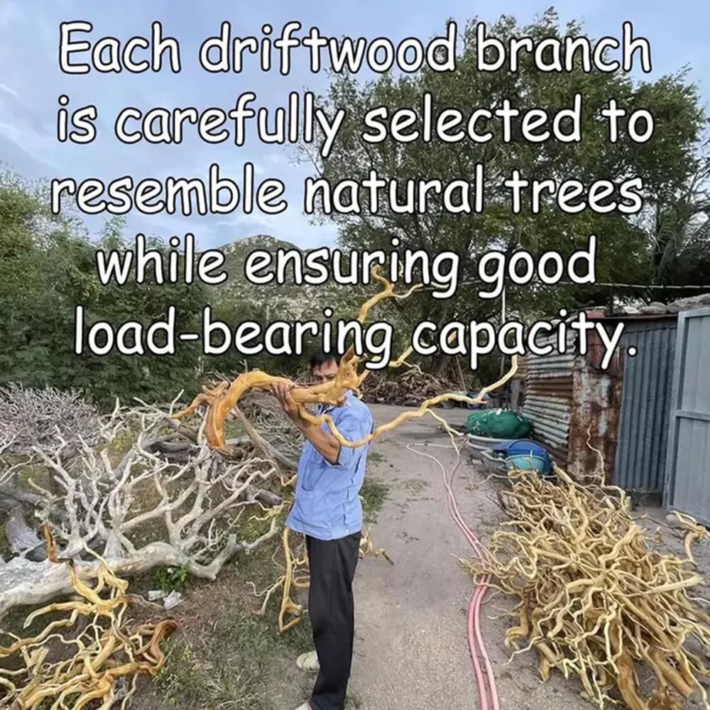 Tree branch book shelf floating shelves on wall solid wood bookshelf driftwood wall art decor for living room