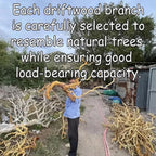 Tree branch book shelf floating shelves wall mounted reclaimed solid wood bookcase driftwood sculpture art furniture