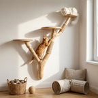 Cat Climbing Shelf with Scratching Post & Floating Cat Furniture