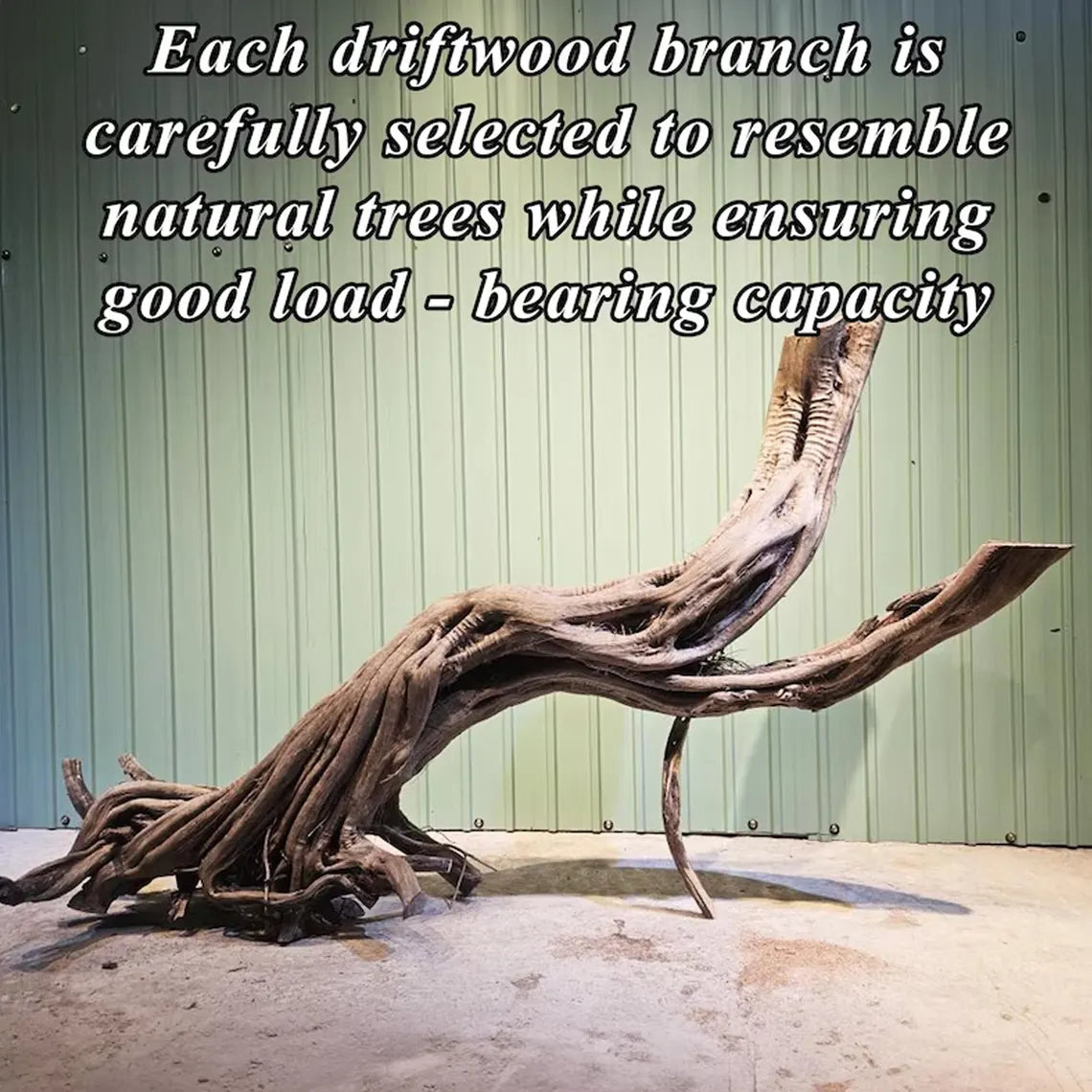 Tree branch bookshelf driftwood live edge wall shelf decor
