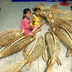 Fish rattan ceiling light for rustic living room decor