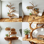 Tree branch floor bookshelf live edge Shelf solid wood decor