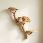 Cat Climbing Wall with Sisal Scratching Posts and Floating Cat Bed