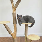Natural Wood Cat Tree with Sisal Scratching Posts