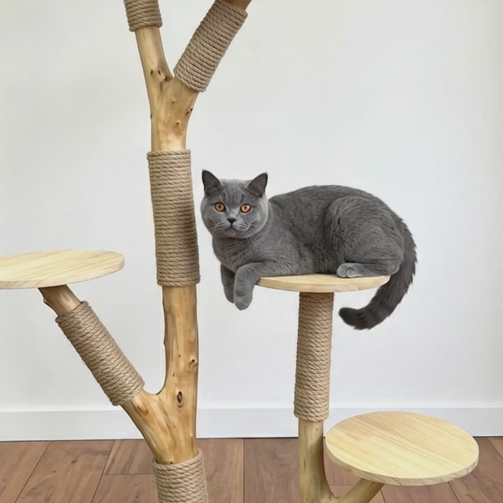 Natural Wood Cat Tree with Sisal Scratching Posts
