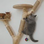 Cat Climbing Shelf with Scratching Post & Floating Cat Furniture