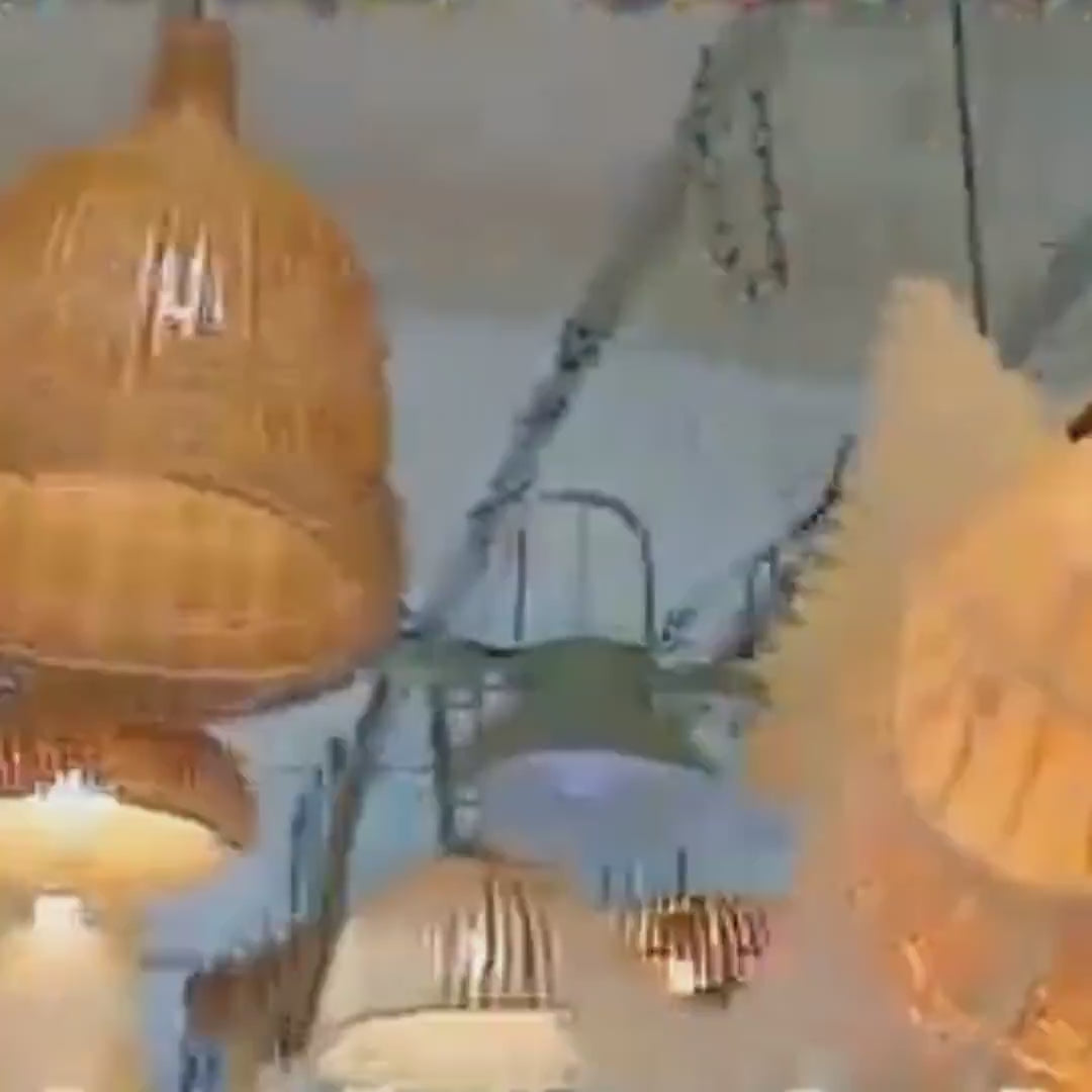 Handmade wood veneer fish ceiling light decor home