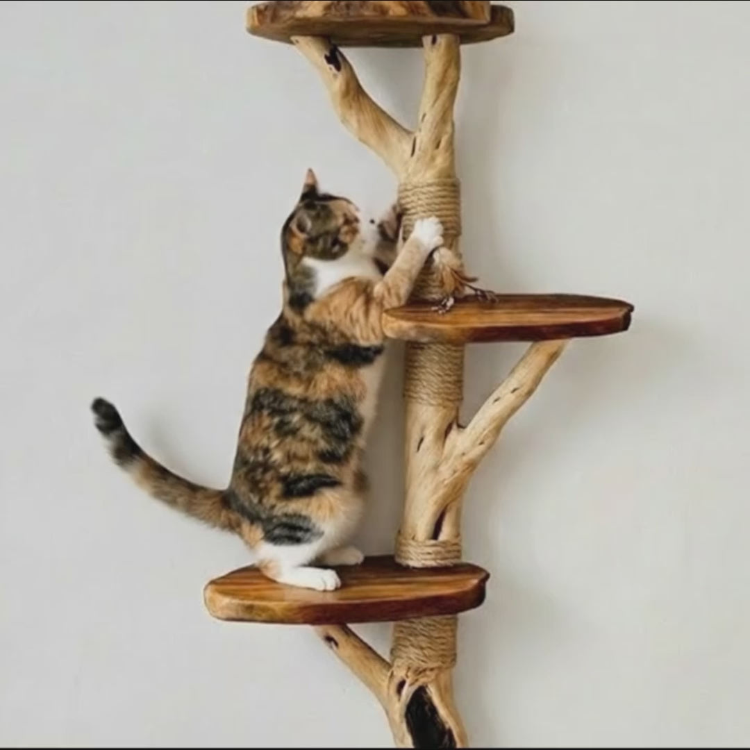 Cat Tree Driftwood Natural Wood Cat Shelf Handmade Climbing Tower Sisal Scratching