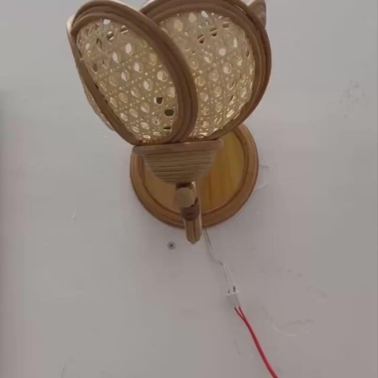 Flower rattan wall sconce light fixture living room decor