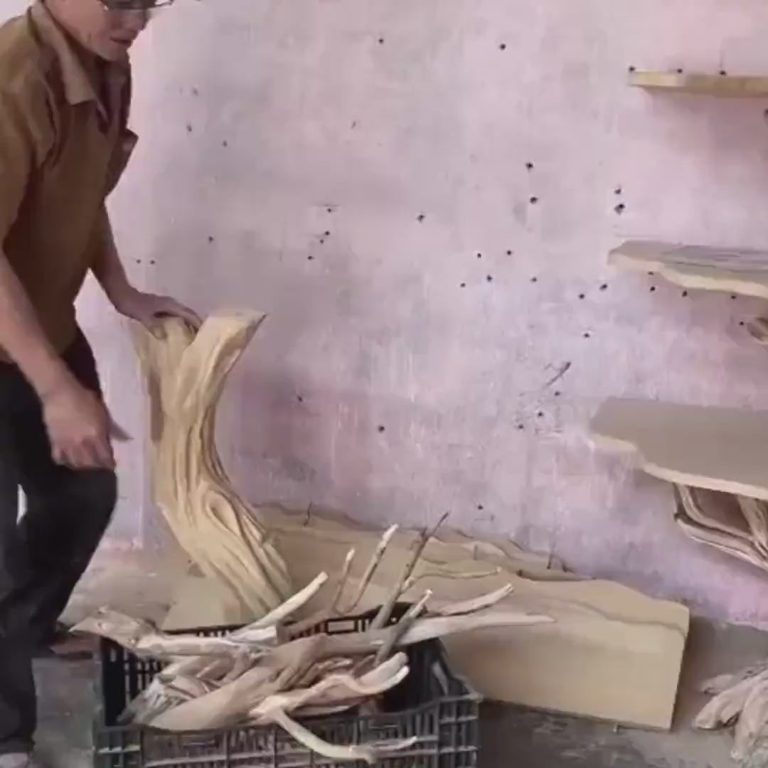 Live edge tree branch bookshelf solid wood wall shelf