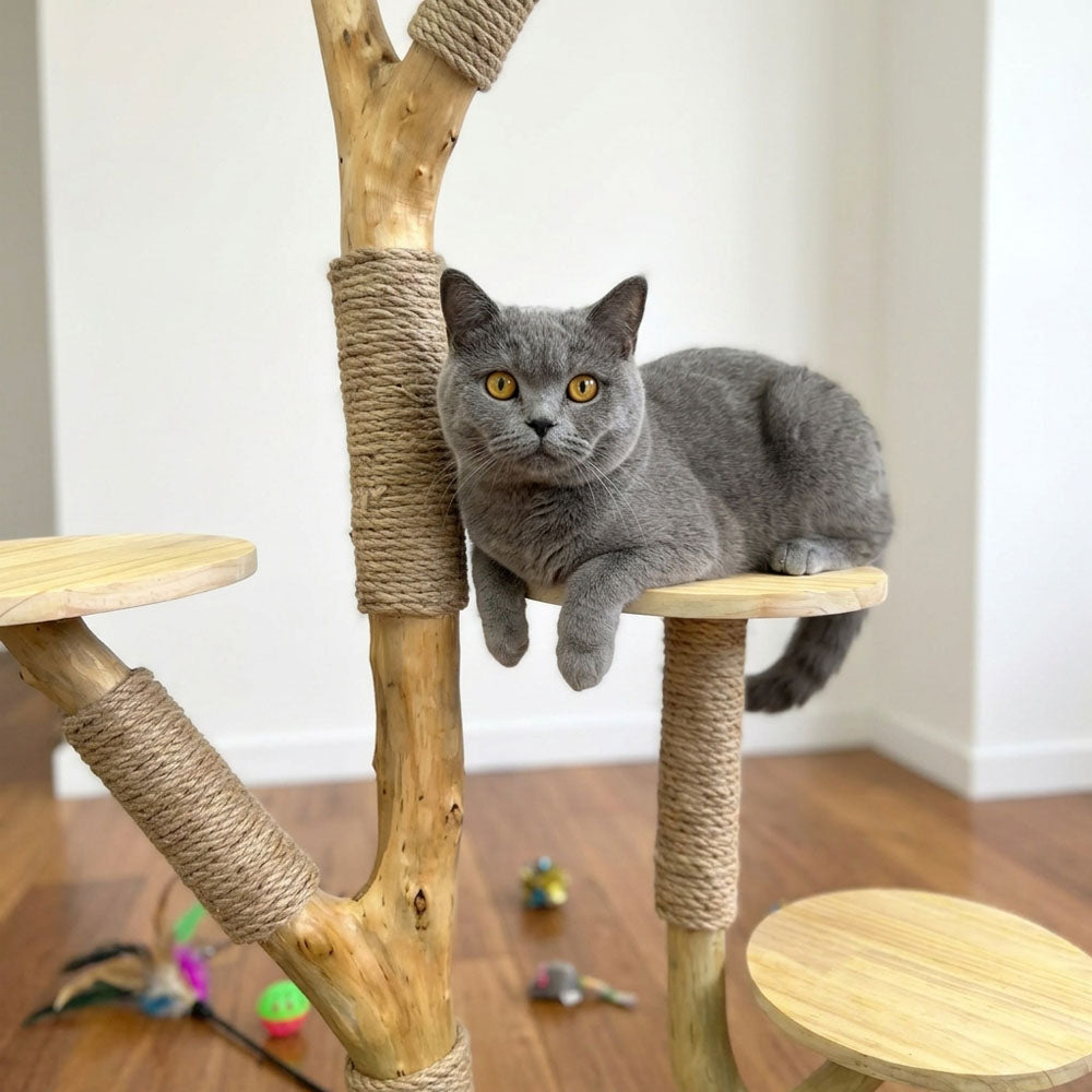 Natural Wood Cat Tree with Sisal Scratching Posts