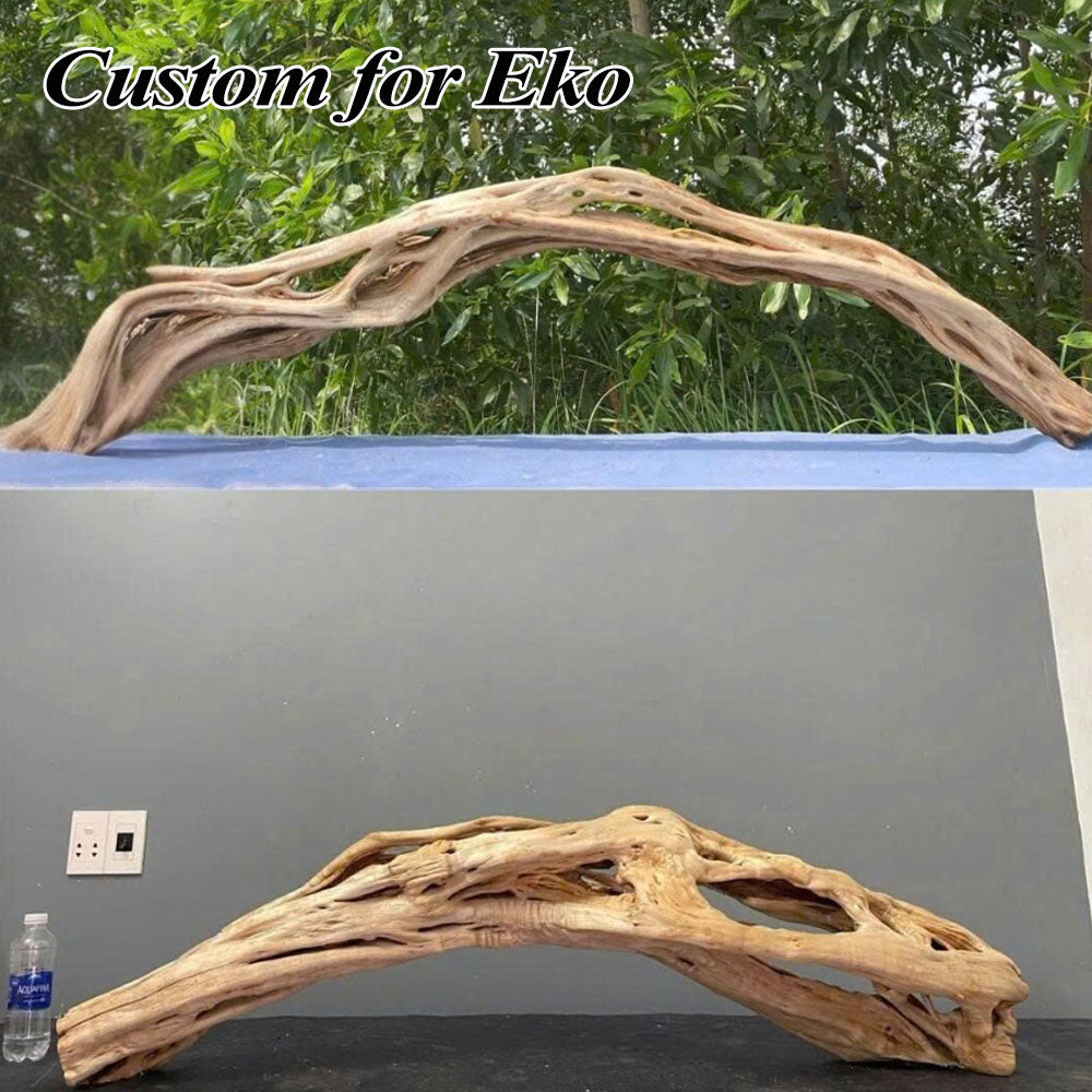 Custom for Eko