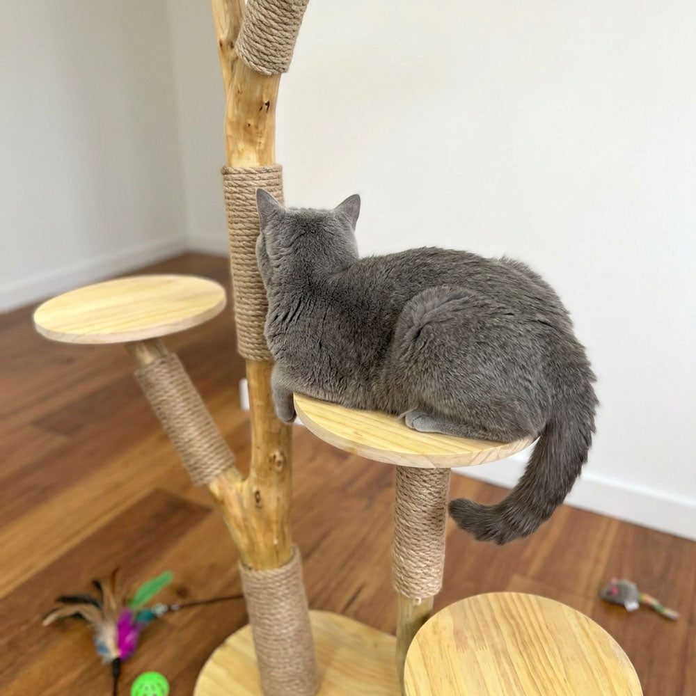 Natural Wood Cat Tree with Sisal Scratching Posts