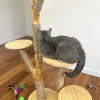 Natural Wood Cat Tree with Sisal Scratching Posts