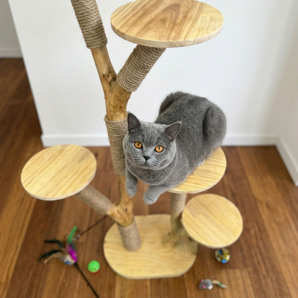 Natural Wood Cat Tree with Sisal Scratching Posts