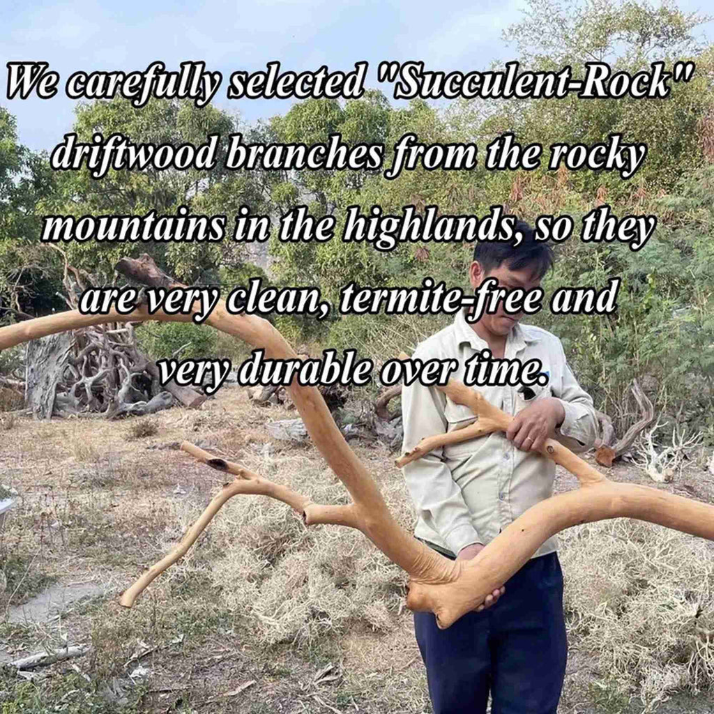 Unique Tree floor branch book shelves decor easy to assembly